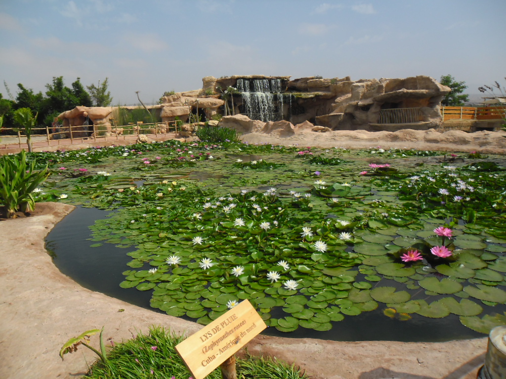 Crocoparc Agadir in Agadir Morocco