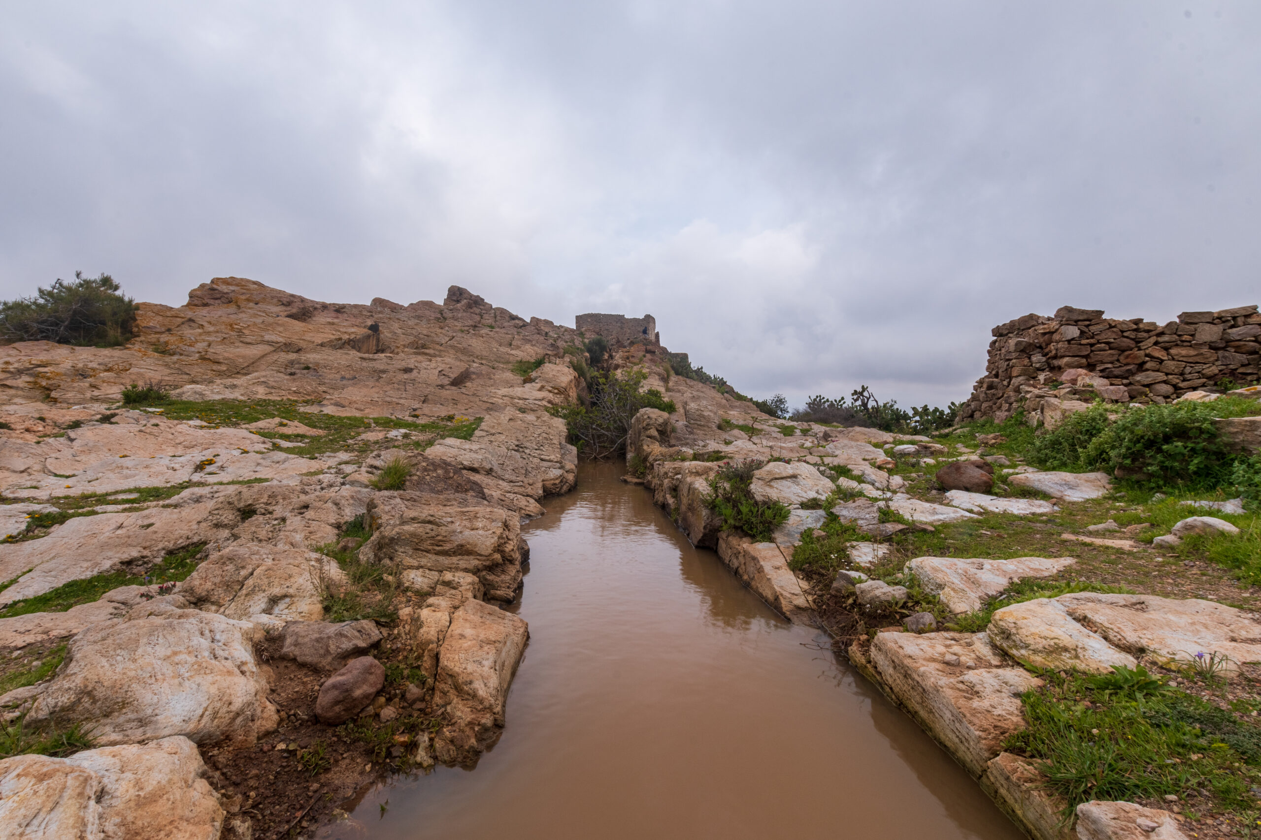Mount Gourougou forested mountain near Nador, northern Morocco