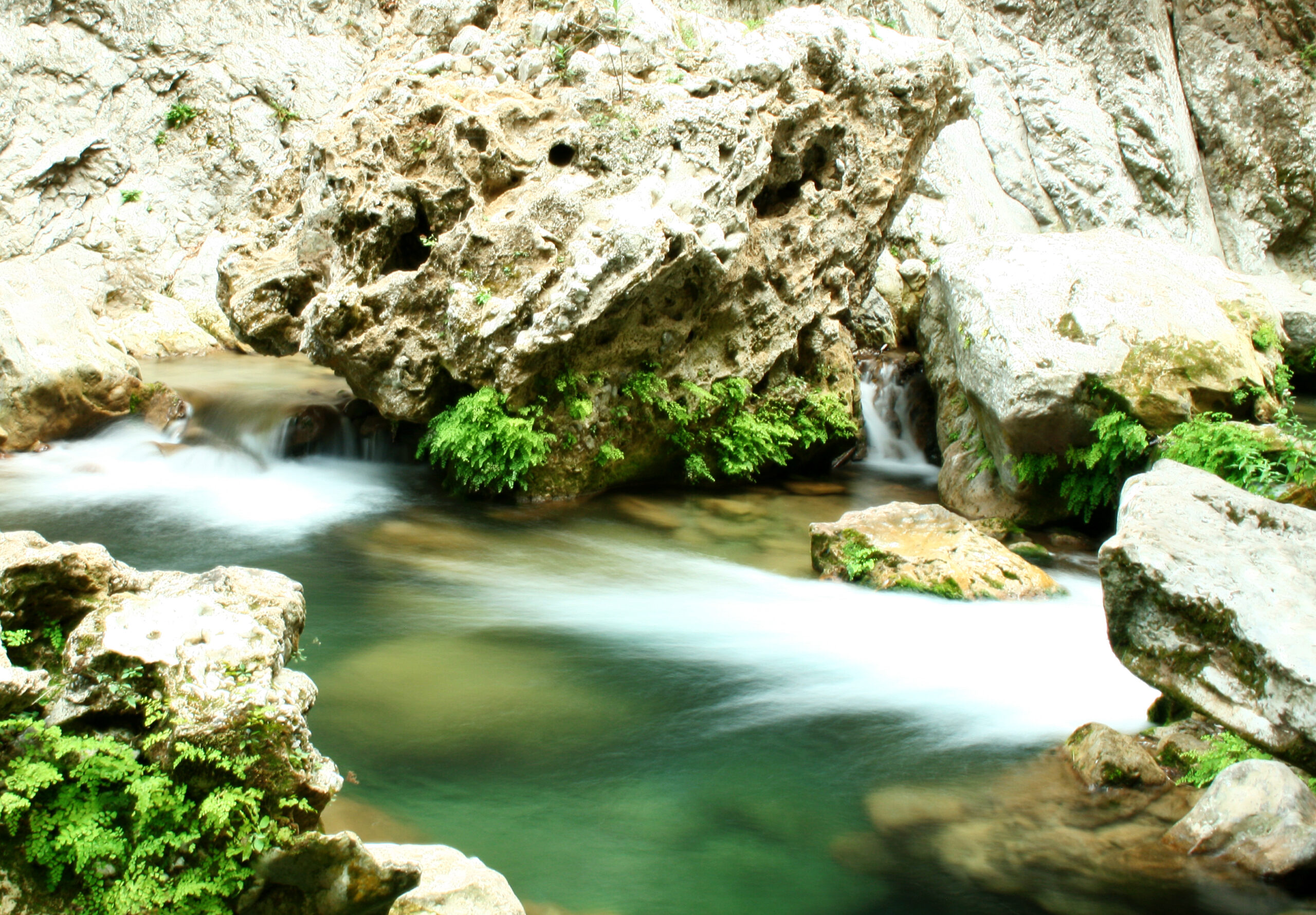 Talassemtane National Park in Chefchaouen Morocco