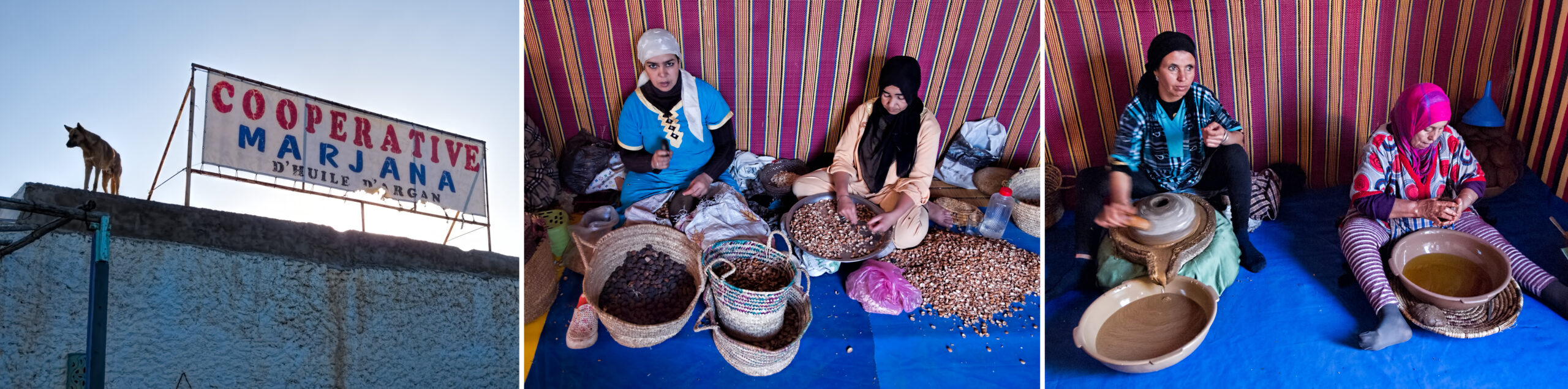 Argan Oil Cooperative in Essaouira Morocco