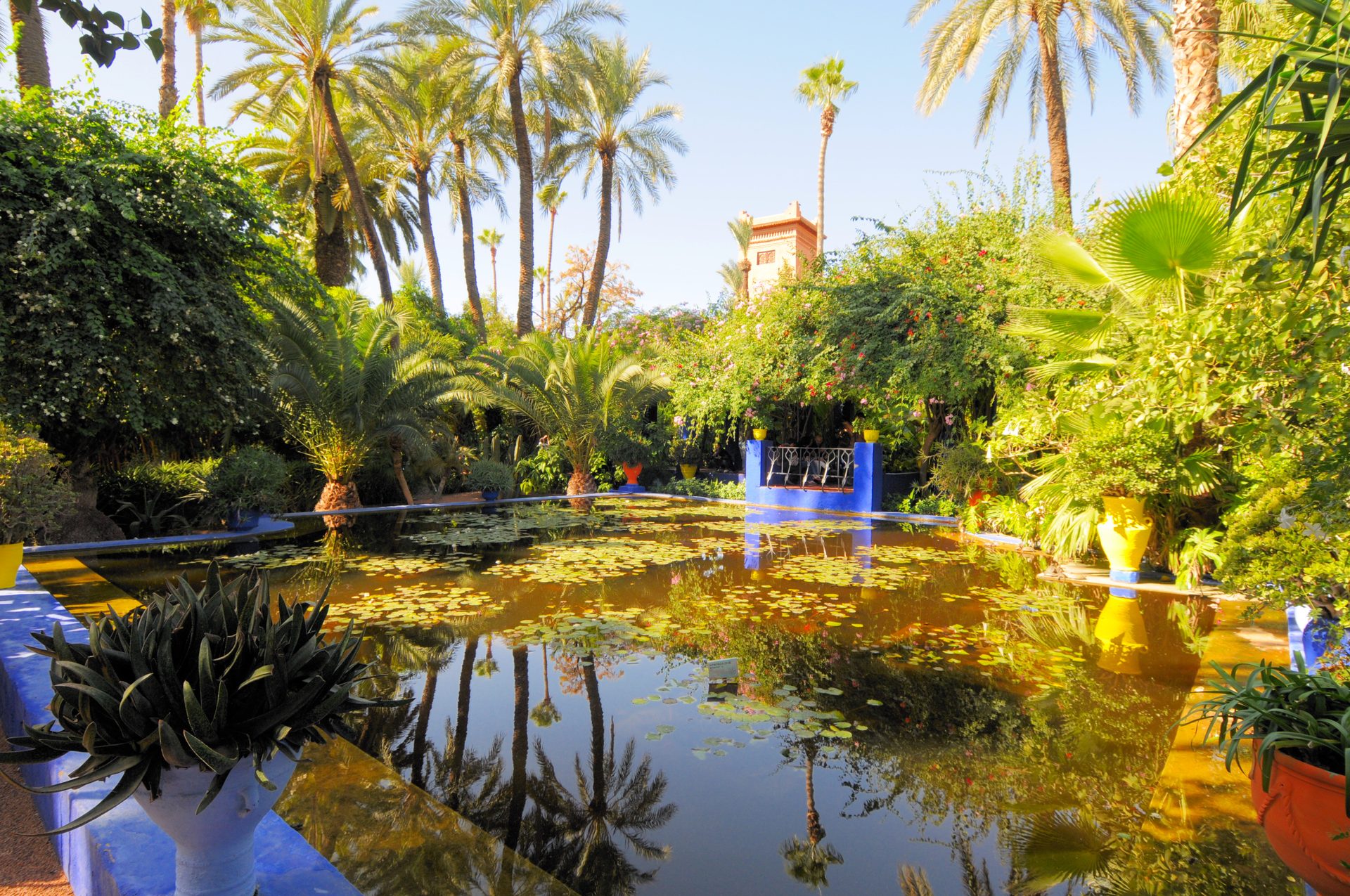 Best Things to Do in Marrakech: The Essential Guide
