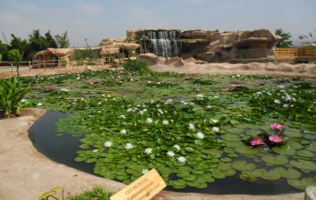 Crocoparc Agadir in Agadir Morocco
