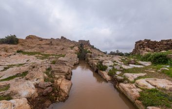 Mount Gourougou forested mountain near Nador, northern Morocco