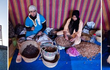 Argan Oil Cooperative in Essaouira Morocco