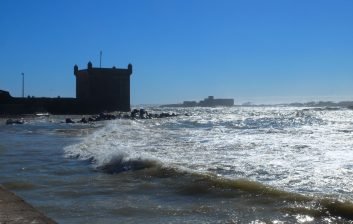 Blue fishing boats and gulls in Essaouira harbour with the old sea walls behind