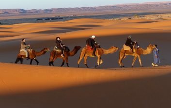 Camels crossing the tall orange dunes of Erg Chebbi in the Moroccan Sahara at sunset